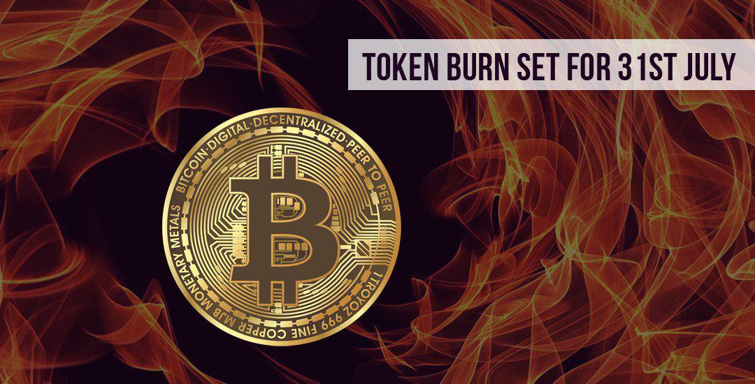 Token Burn BitCar