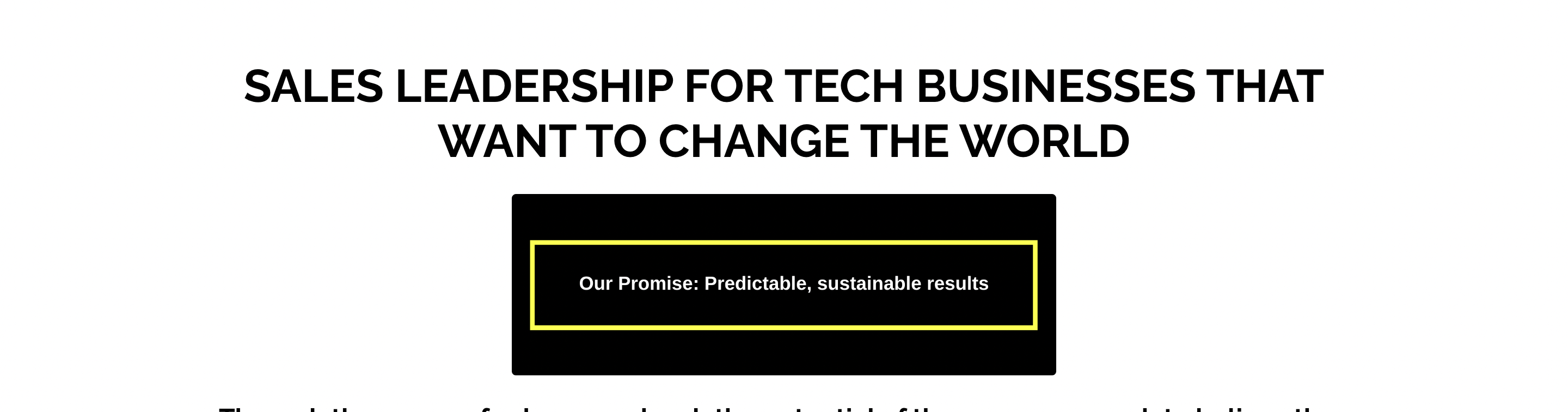 <strong>Sales leadership for tech businesses offers pre-transaction assessment for Wholesale Investor clients</strong>