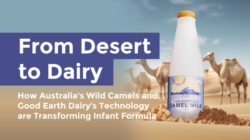 From Desert to Dairy: How Australia’s Wild Camels and Good Earth Dairy’s Technology are Transforming Infant Formula