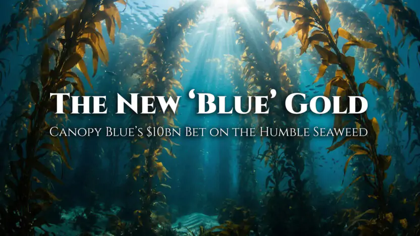The New ‘Blue’ Gold: Canopy Blue’s $10bn Bet on the Humble Seaweed