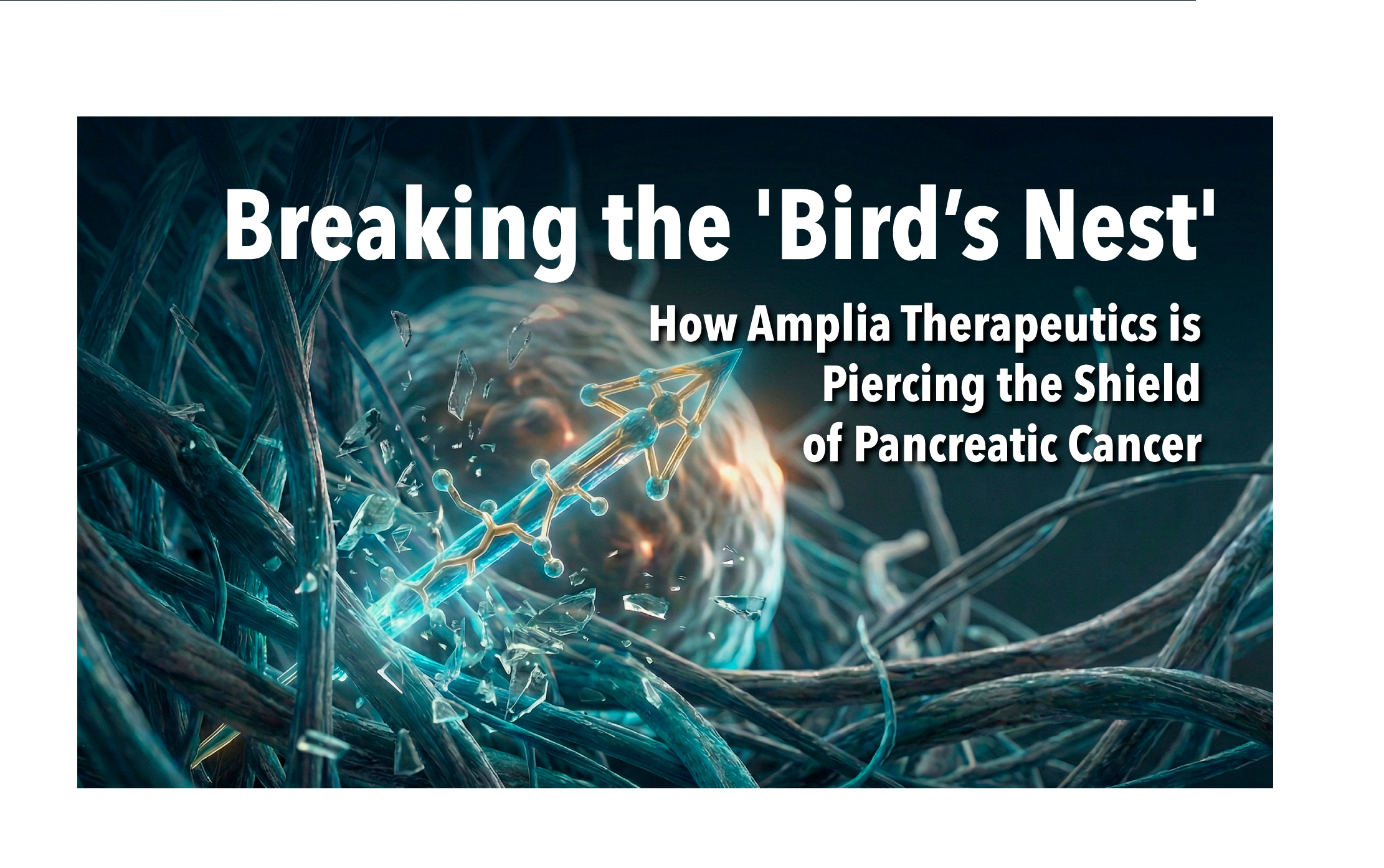 Breaking the ‘Bird’s Nest’: How Amplia Therapeutics is Piercing the Shield of Pancreatic Cancer